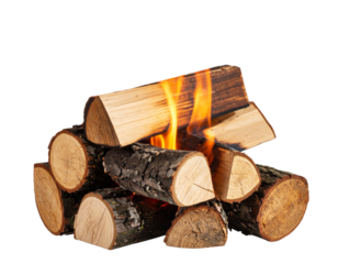 Realistic campfire flames with burning wood, isolated on a transparent background