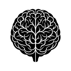 brain vector illustration