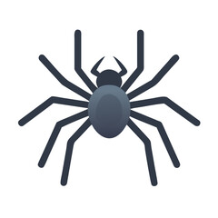 Obraz premium Eight-Legged Spider Illustration 
