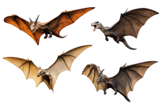 Pterodactyls Fly in the Sky with Fantasy Theme and Prehistoric Concept