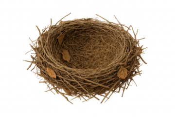 Empty bird nest with dry leaves on transparent background