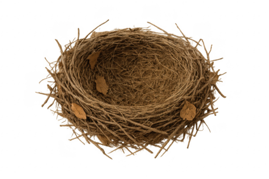 Empty bird nest with dry leaves on transparent background