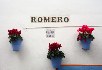 Spain, Andalusia, Cordoba.  Pale blue flowerpots with red flowers on a whitewashed wall in Calle...