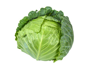Whole green cabbage head on transparent background