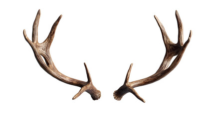 reindeer antlers png