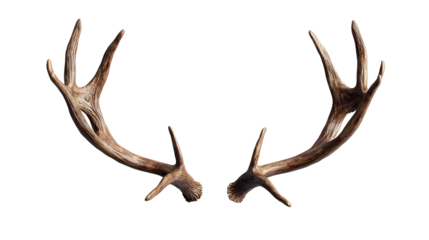 reindeer antlers png