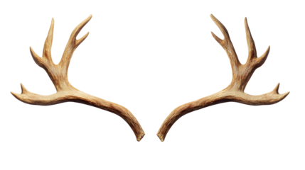 reindeer antlers png