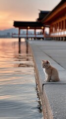 Obraz premium A charming orange cat sits at the edge of an ancient structure, admiring the serene sunset and lush surroundings in the twilight