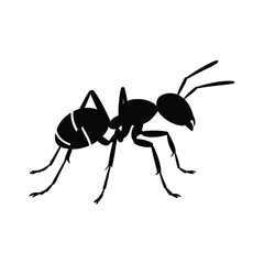 Black silhouette of an ant on a white background