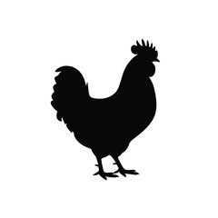 Black silhouette of a proud rooster standing tall