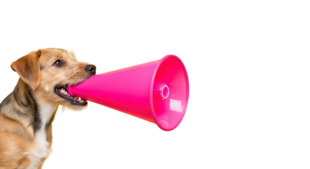 A dog holding pink megaphone announcement concept. featuring dog, animal, pet. This image is ideal for use in various financial contexts.