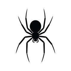 Simple black silhouette of a spider on a white background