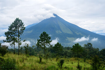 Fototapeta premium a mountain with a cloud covered top and trees