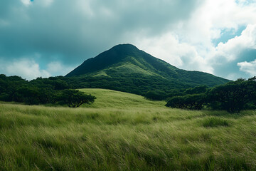 a mountain with a grassy field and trees