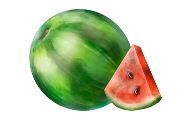 Watermelon. Fresh crunchy sweet and healthy red watermelon. whole and slice ripe watermelon illustration. Summer fruit illustration isolated on white