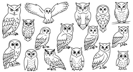 Set of owls isolated on transparent or white background, vector illustration, black outline style.