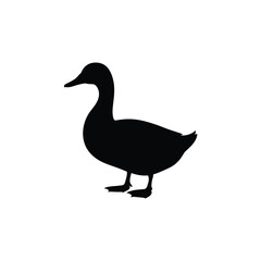 Silhouette of a standing duck on a white background