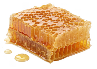 honeycomb-on a solated-transparent-background