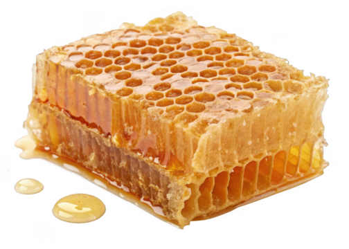 honeycomb-on a solated-transparent-background