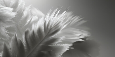 Obraz premium Soft, ethereal display of delicate feathers set against smooth gradient background, creating serene and calming atmosphere