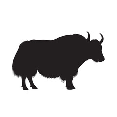 Detailed Black Silhouette of a Majestic Yak on a White Background