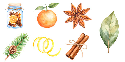 Watercolor winter spices, orange, pine and bay leaf on transparent background