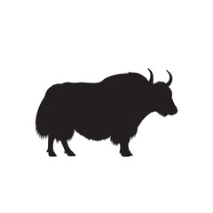 Black silhouette of a wild yak standing on a white background