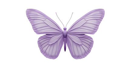 purple butterfly png