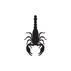 Striking scorpion silhouette image showcasing arachnid details on a white backdrop