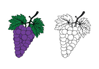 Minimalist black and white vector illustration doodle of purple grape vine ripe grapes leaves and tree branches simple one line art for coloring book art projects children artbook and creative designs