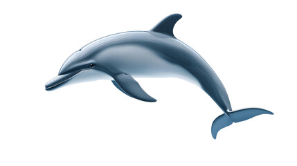 Fototapeta premium dolphin clipart png