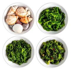 Assorted Seaweed and Shells in Ceramic Bowls on White Background