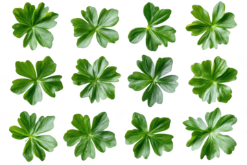 See Fresh green leaves, nature's beauty with leaf pattern and design theme