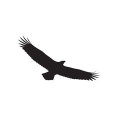 Obraz premium Silhouette of a large eagle soaring powerfully through the open sky above