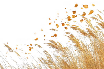 Golden reeds and Leaves dance against the black sky, Creating Tranquility