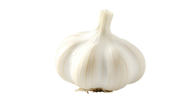 garlic png