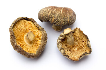 Dried shiitake mushrooms isolated on white background. They are a good source of vitamins, minerals, and antioxidants, and can potentially support immune function, heart health, and bone health.