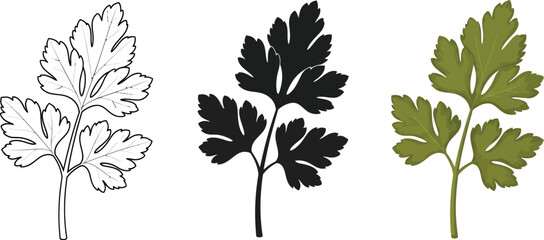 Three parsley sprigs showcase different styles, from a detailed outline to a solid black silhouette and a vibrant green illustration, perfect for culinary or botanical designs.