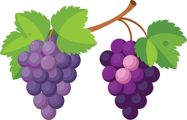 Fresh Ripe Grapes on the Vine with Green Leaves