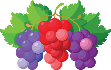 Three Colorful Grape Bunches with Lush Green Leaves