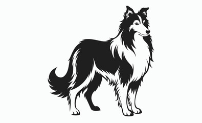 Collie dog silhouette, herding breed vector, domestic animal icon, Lassie dog silhouette vector illustration 