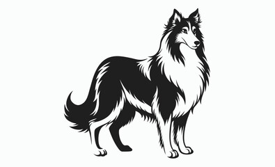 Collie dog silhouette, herding breed vector, domestic animal icon, Lassie dog silhouette vector illustration 
