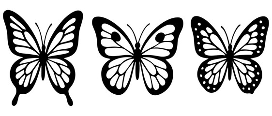 Stylized Black and White Butterfly Trio Hand Drawn illustration