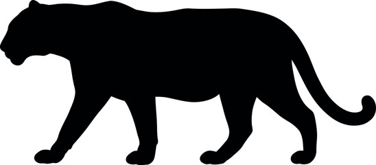 Black panther silhouette walking