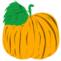 pumpkin isolated on white