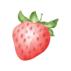 Watercolor Strawberry Fruit Vector Illustration
