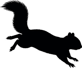 Silhouette of a running squirrel with bushy tail