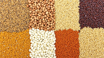 An assortment of varied seeds, grains, and beans creates a textured, colorful mosaic pattern above.