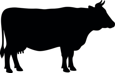 Black silhouette of a dairy cow