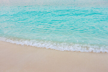 The ocean is calm and blue, with a gentle wave breaking on the shore